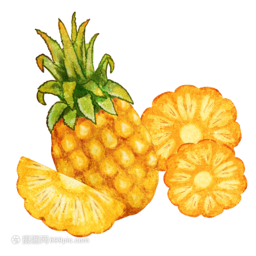 手繪菠蘿 水果還是蔬菜的藝術探索