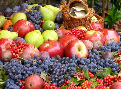 第16周國內外農產品市場動態 水果與蔬菜價格走勢分析