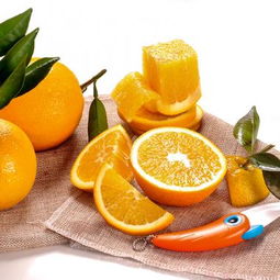 巴東紐荷爾橙 國網商城熱銷，10斤新鮮直達的美味